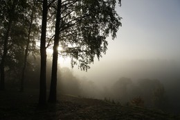 Fog down in the valley / ***