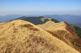 Carpathian Mountains. Spur the pace. / ***