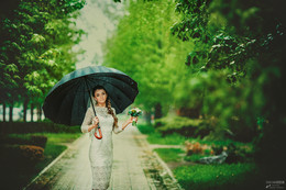 The bride in the rain / ***