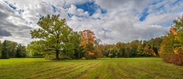 Sowing of autumn / ***
