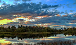 Twilight in the swamp / ***