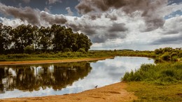 bend in the river / ***