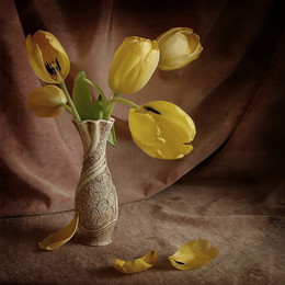 yellow tulips / ***