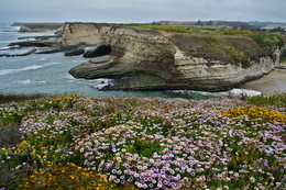 Vanishing coastline / ***