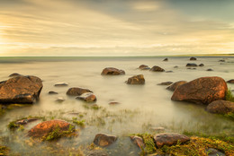 Stones in the sea / ***