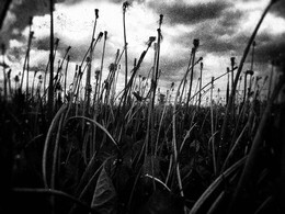 concentration camp / ***