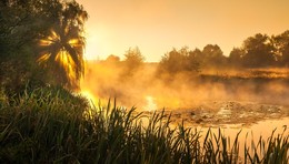 Mists bright soul ... / ***