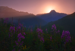 The first beam of a new day / ...