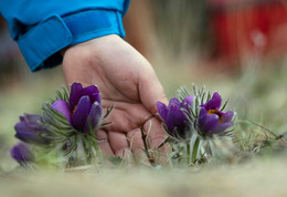 give warmth .. only in good hands! ...... / ***