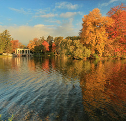 Autumn colors / ***