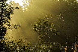 In the morning / ***
