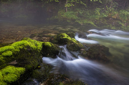 Shades of green / ***