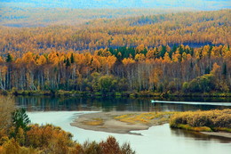 autumn morning / ***