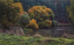 River and autumn / ***