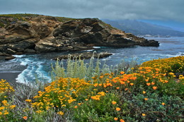 Scenic Beach / ***