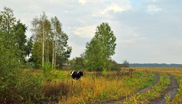 in the village / ***