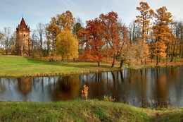 At the pond / ***