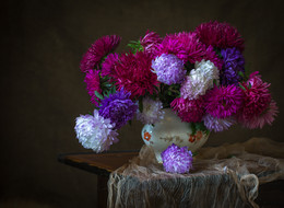 Asters in October. / ...