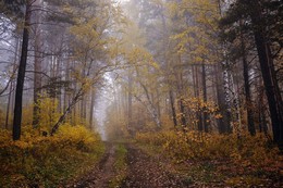 Autumn walks. / ***