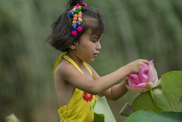 Girl and a blossoming lotus / ***