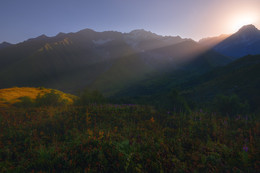 Dawn / ...