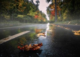 Road in autumn breathed .. / ***