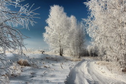 On the roads of winter ... / ***