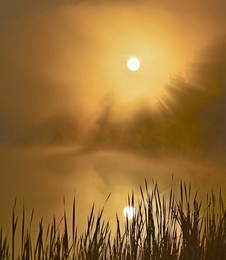 Hot morning / ***