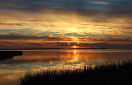 Evening on the Bay / ***