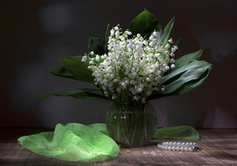Lilies of the valley / ***