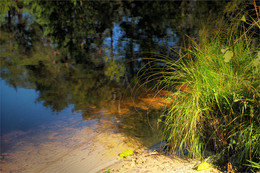 Autumn on the forest lake / ***