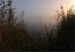 ... promising morning ... / ***