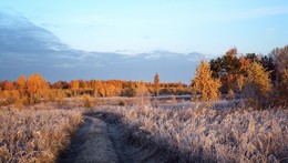 Frosty morning. / ***