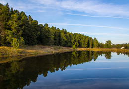 Taiga lake. Mirror autumn. Tomsk region. / ***