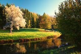 Autumn in Pavlovsk / ***