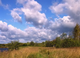 Cloudy day. / ***