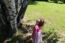 What a tall tree! / ***