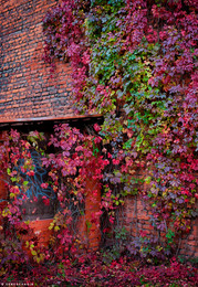 Urbanometriya. Autumn in the city. / ***