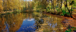 Autumn colors frenzy ... / ***