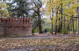 Autumn / ***