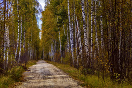 Autumn alley / ***