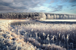 Frosty morning / ***