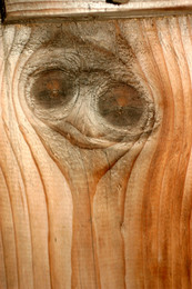 Fads tree / ***