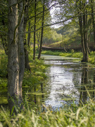 River in Zaslavl / ***