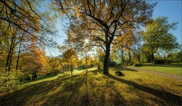 Autumn sunny day. / ***