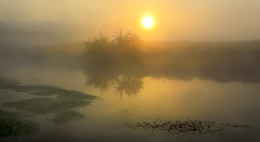 Dawn misty September 6 ... .. / ***