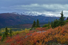 Autumn colors / ***