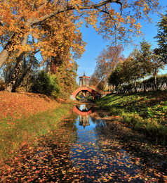 Autumn / ***