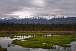 On the way to Denali / ***