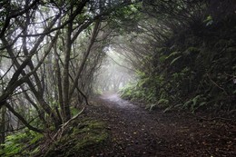 Hobbit Trail / ***